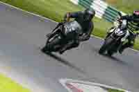 Lower Group Black Bikes